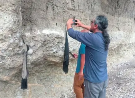 Hallan una segunda defensa de mamut en Cerritos, SLP Hallan una segunda defensa de mamut en Cerritos, SLP