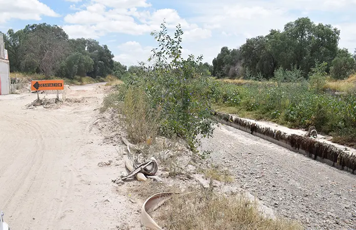 Que avanza reforestación en el bulevar Río Santiago