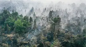 Ola de incendios azotan Indonesia