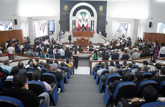 Congreso presentará cargos contra la abogada N. Castillo