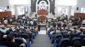 Congreso presentar&aacute; cargos contra la abogada N. Castillo