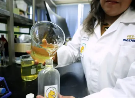 Es-Pumita, el jabón fabricado con aceite usado Es-Pumita, el jabón fabricado con aceite usado