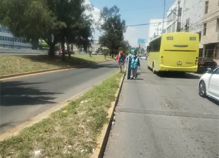 Limpian camellones de Salvador Nava y Camino al Aguaje Limpian camellones de Salvador Nava y Camino al Aguaje