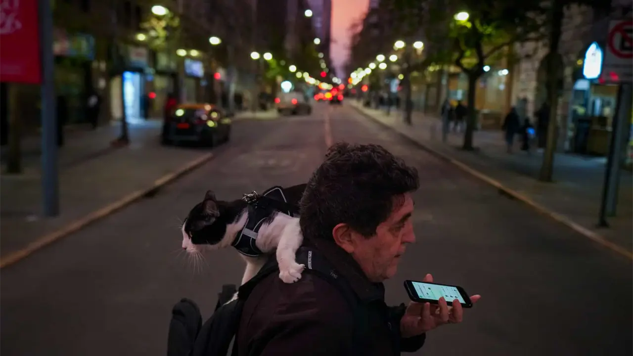 OMS declara a Chile libre de rabia canina humana: un logro histórico