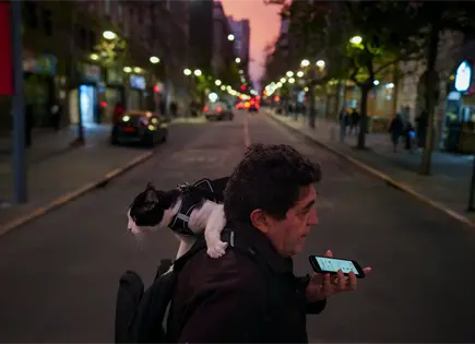 OMS declara a Chile libre de rabia canina humana: un logro histórico OMS declara a Chile libre de rabia canina humana: un logro histórico