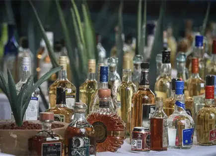 Industria tequilera, con mala racha Industria tequilera, con mala racha