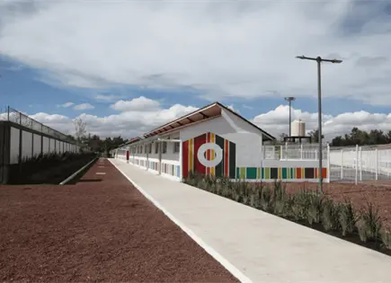 Abre Xólotl, nuevo albergue para perros y gatos en CDMX Abre Xólotl, nuevo albergue para perros y gatos en CDMX