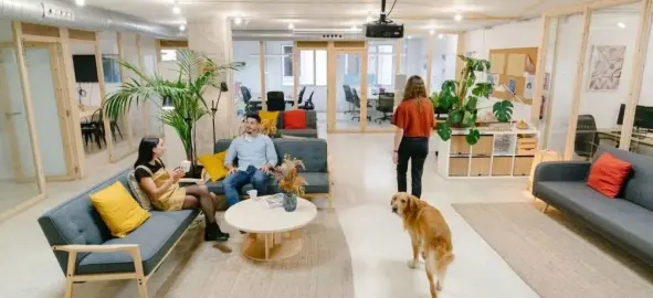 El nuevo modelo de oficinas en CDMX: adiós a la oficina tradicional El nuevo modelo de oficinas en CDMX: adiós a la oficina tradicional