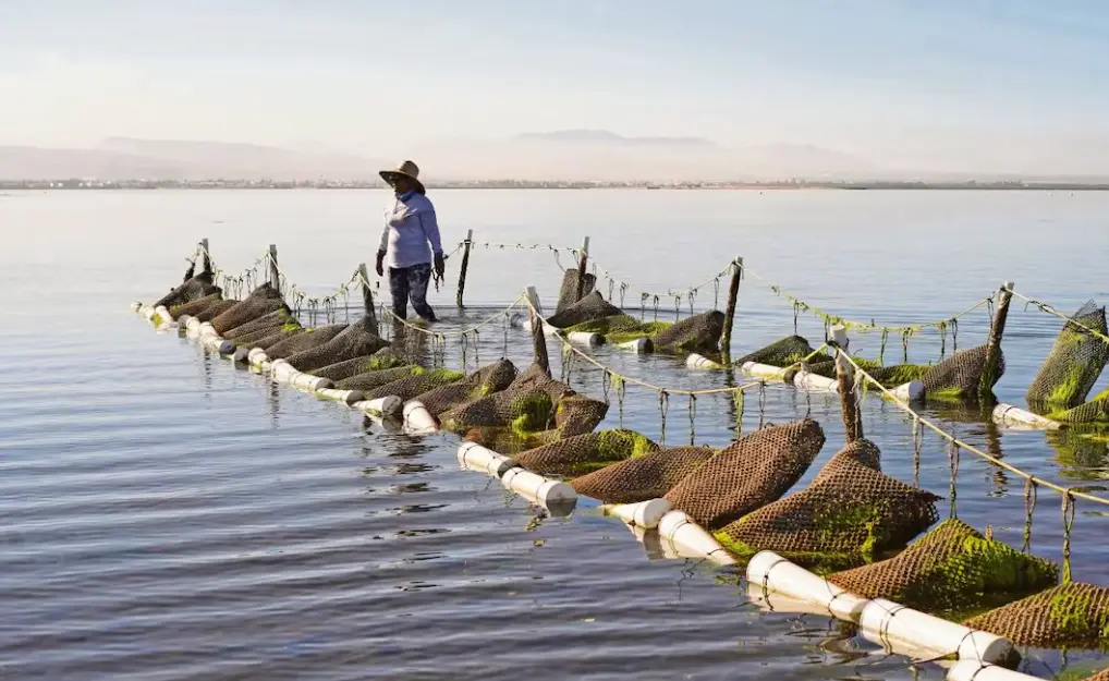 Proyecto multimedia de EL UNIVERSAL gana premio internacional