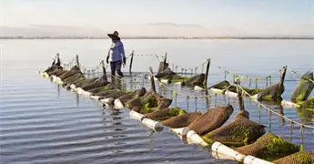Proyecto multimedia de EL UNIVERSAL gana premio internacional