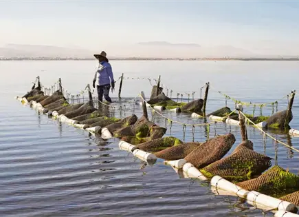 Proyecto multimedia de EL UNIVERSAL gana premio internacional