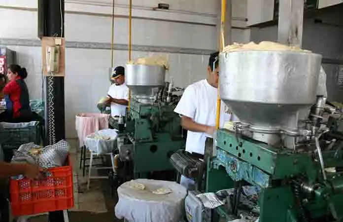 Poco sabe Coepris sobre toxina cancerígena en tortillas de SLP