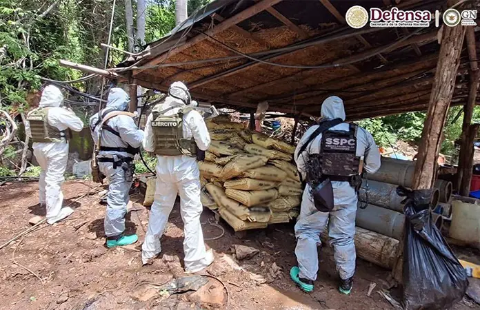Desmantela GN cuatro narcolaboratorios