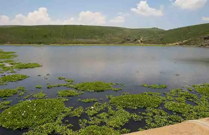 Hay agua para 18 meses más