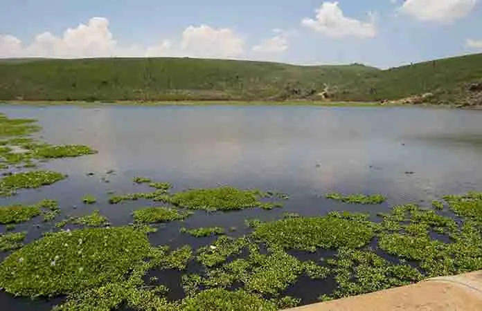 Hay agua para 18 meses más Hay agua para 18 meses más