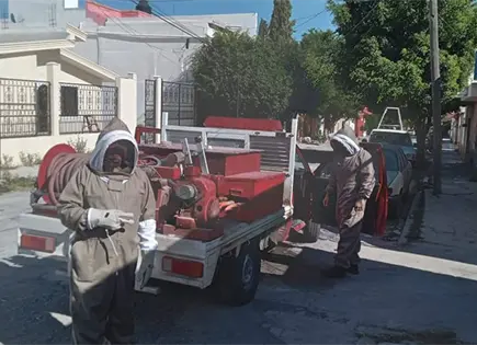 Bomberos retiran panales de abejas Bomberos retiran panales de abejas