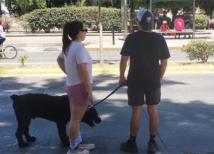 En un divorcio ¿con quién se irán las mascotas? En un divorcio ¿con quién se irán las mascotas?