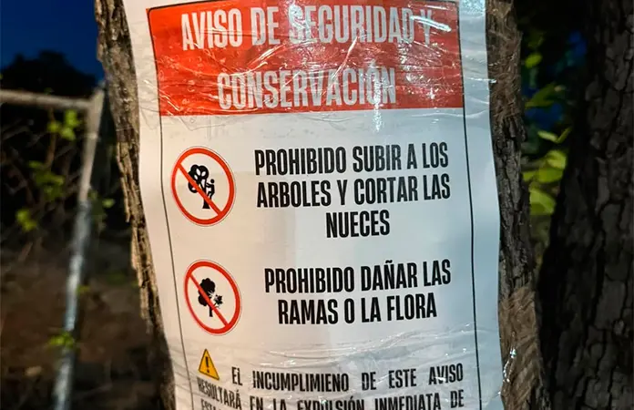 Llaman a población a cuidar los árboles de Unidad Deportiva