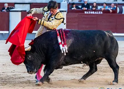 Confirmó Fermín Rivera su alternativa Confirmó Fermín Rivera su alternativa