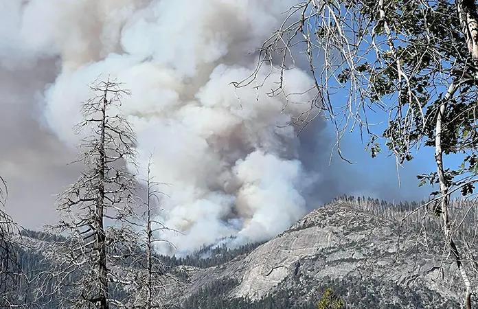 Helicóptero se estrella en combate a incendio