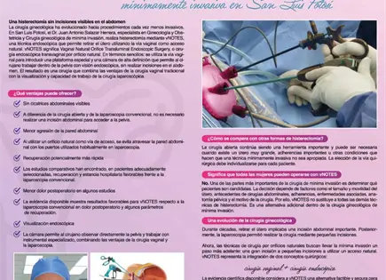 Colpos: una nueva alternativa de cirug&iacute;a ginecol&oacute;gica m&iacute;nimamente invasiva en SLP