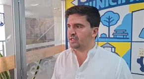 Suman 9 procesos administrativos por tala de árboles sin permiso