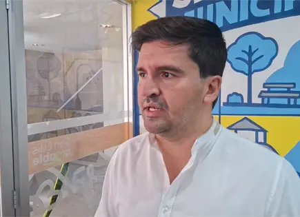 Suman 9 procesos administrativos por tala de &aacute;rboles sin permiso