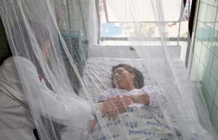 Dengue en Perú se eleva hasta un 79%
