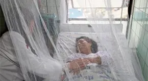 Dengue en Perú se eleva hasta un 79%