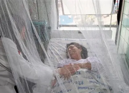 Dengue en Perú se eleva hasta un 79% Dengue en Perú se eleva hasta un 79%