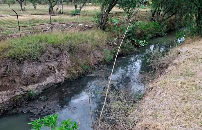Usuarios denuncian aguas negras en el Tangamanga I