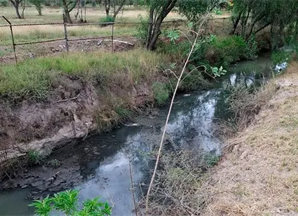 Usuarios denuncian aguas negras en el Tangamanga I