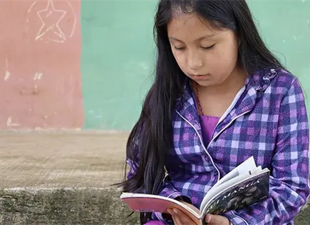 LA PRUEBA PISA EN MEXICO LA PRUEBA PISA EN MEXICO