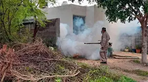 Reducen casos de dengue en la ZM