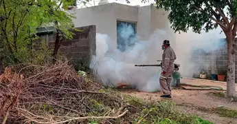 Reducen casos de dengue en la ZM