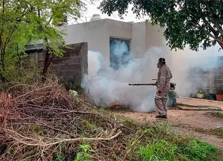 Reducen casos de dengue en la ZM Reducen casos de dengue en la ZM