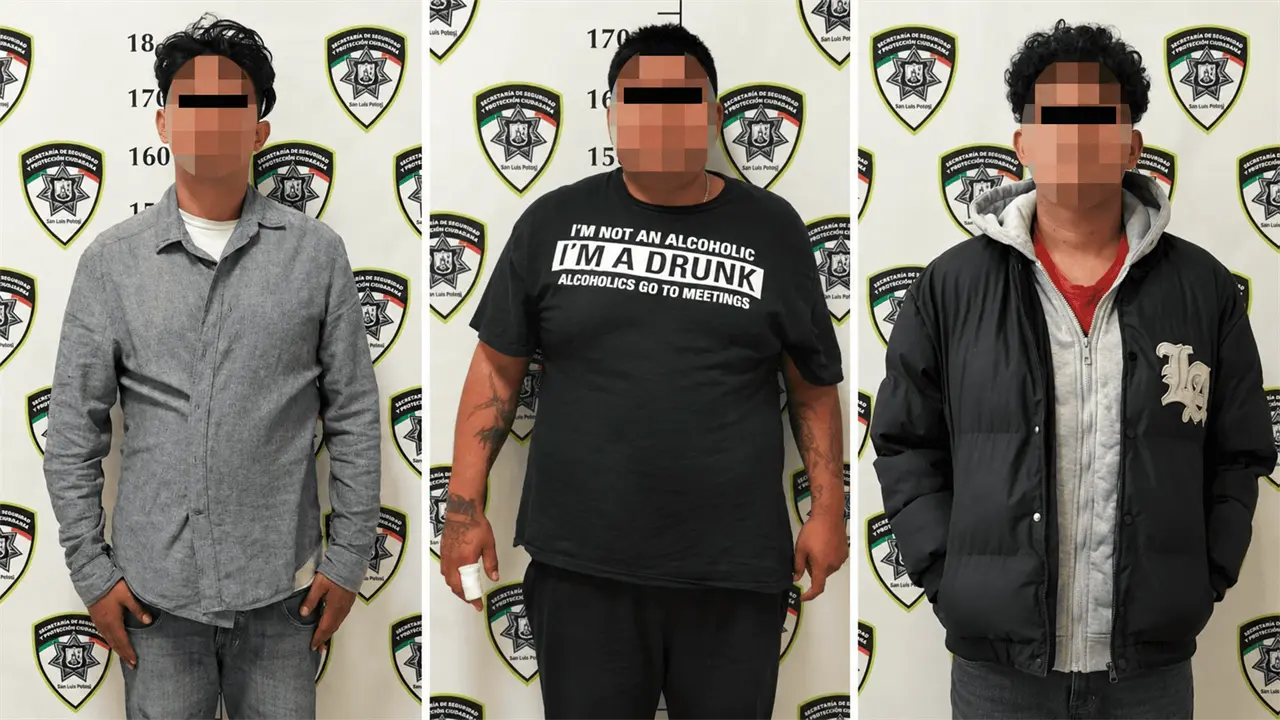 Tres detenidos por violencia familiar; una embarazada entre las afectadas