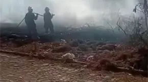 Sofocan bomberos incendio en predio