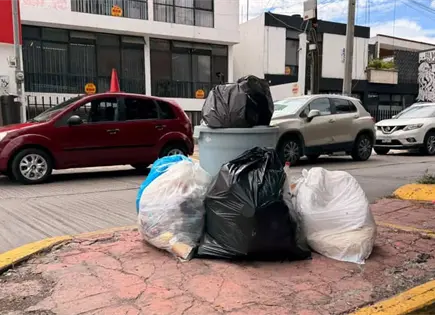 Insisten Ecolog&iacute;a en llamado a no dejar basura que tape drenajes