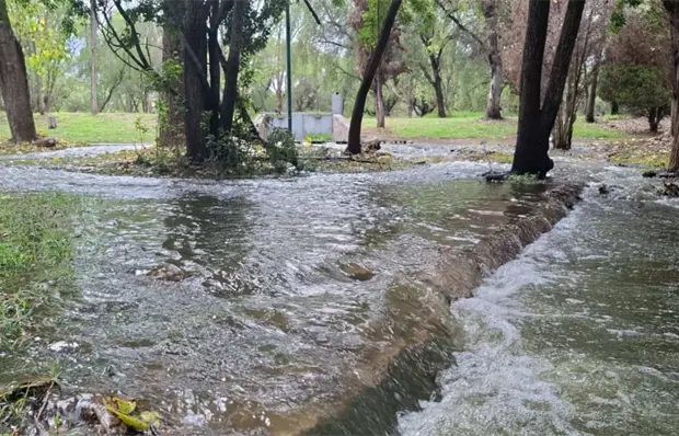 Interapas no atiende brote de aguas negras en Tangamanga I Interapas no atiende brote de aguas negras en Tangamanga I