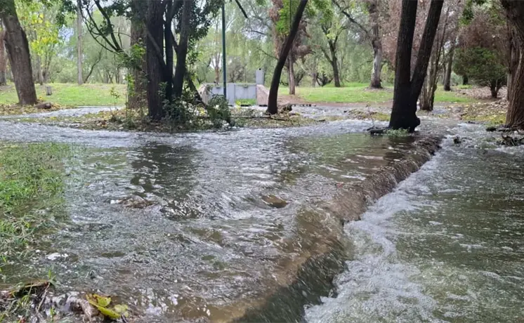 Interapas no atiende brote de aguas negras en Tangamanga I