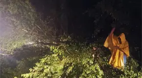 Tormenta y fuertes vientos golpean a Ciudad Valles (fotos)