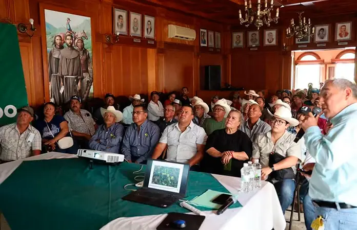 Capacitan a los productores para combatir la plaga de langosta