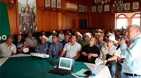 Capacitan a los productores para combatir la plaga de langosta