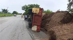 Vuelca tráiler en carretera Tamuín-San Vicente; no hay heridos