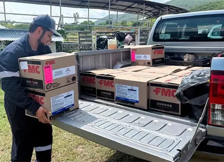 Aplican acciones de sanidad en cultivos por plaga de langosta Aplican acciones de sanidad en cultivos por plaga de langosta