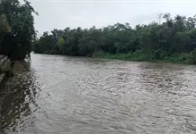 Se eleva cauce del R&iacute;o Valles casi un metro en un d&iacute;a