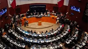Senado declara constitucional reforma sobre nacionalidad &uacute;nica