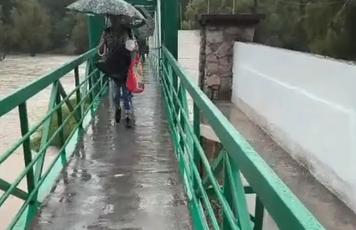 Peatones usan puente recién terminado