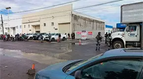 Tras cateos en ZI y Pedregal, aseguran tráileres y otros vehículos robados